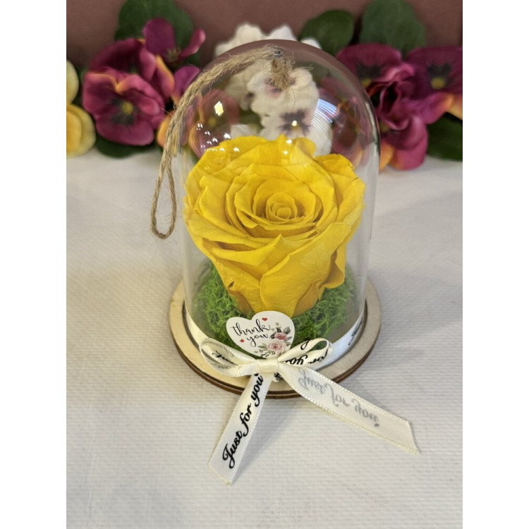 Естествена вечна роза в PVC купол Yel 02