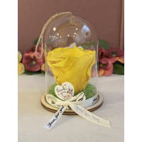 Естествена вечна роза в PVC купол Yel 02