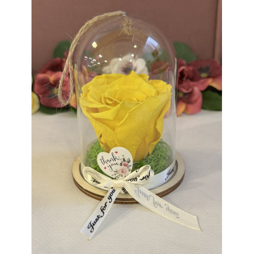 Естествена вечна роза в PVC купол Yel 02