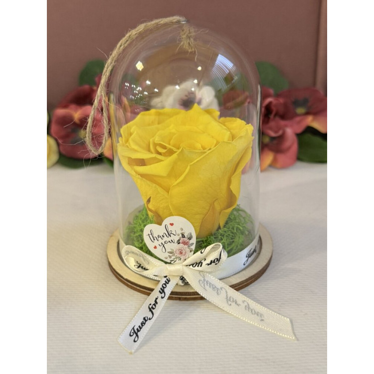 Естествена вечна роза в PVC купол Yel 02
