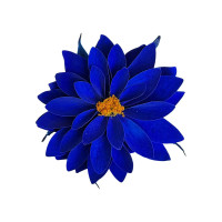Естествено цвете Dalia Blu 03