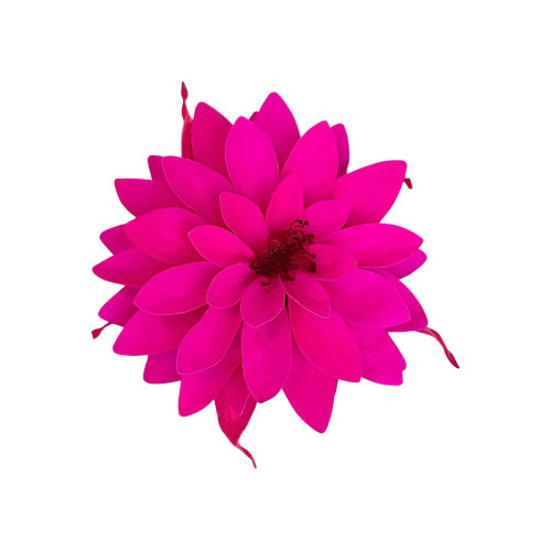 Естествено цвете Dalia Pin 07