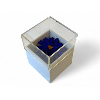 Луксозна кутия за бижута с естествена вечна Dalia Blu 03