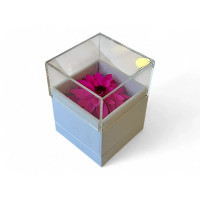 Луксозна кутия за бижута с естествена вечна Dalia Pin 07