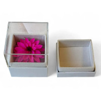 Луксозна кутия за бижута с естествена вечна Dalia Pin 07
