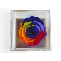 Луксозна кутия за бижута с естествена вечна роза Rainbow Blu 03