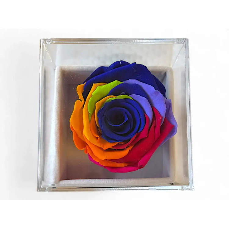 Луксозна кутия за бижута с естествена вечна роза Rainbow Blu 03