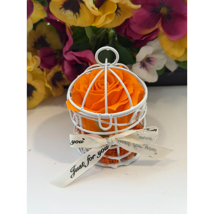 Сапунена роза в кафез K248