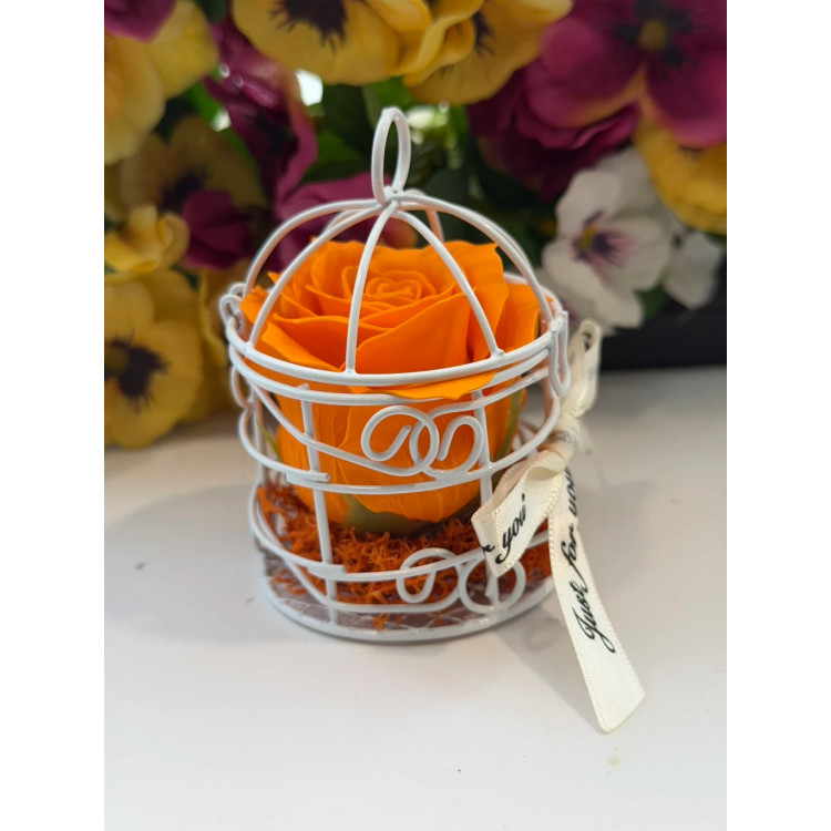 Сапунена роза в кафез K248