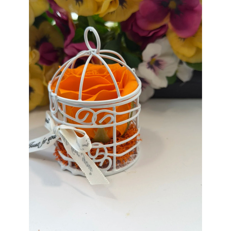 Сапунена роза в кафез K248