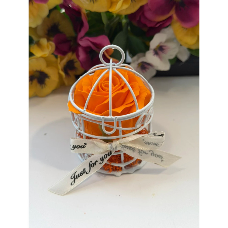 Сапунена роза в кафез K248