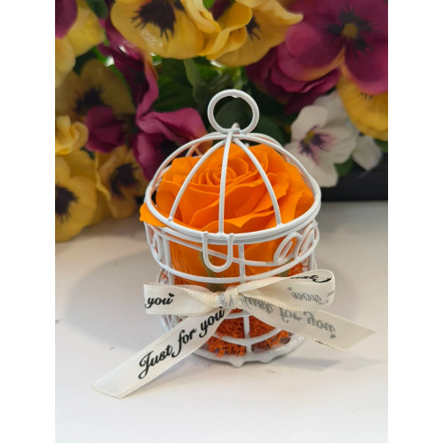 Сапунена роза в кафез K248