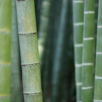 Възглавница Eco Bamboo Plus