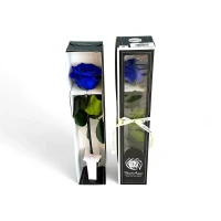 Естествена вечна роза в кутия Stem Blu 03