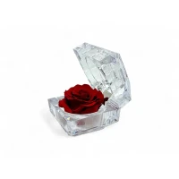 Луксозна кутия за бижута с естествена вечна роза Red 01