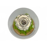 Естествена вечна роза J11