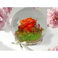 Естествена вечна роза J13