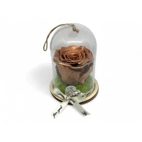 Естествена вечна роза в PVC купол Metallic Copper Whi 04