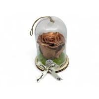 Естествена вечна роза в PVC купол Metallic Copper Whi 04