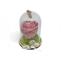 Естествена вечна роза в PVC купол Metallic Old Pink Whi 04