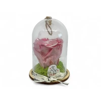 Естествена вечна роза в PVC купол Metallic Old Pink Whi 04