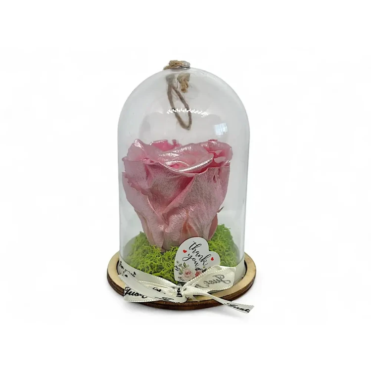 Естествена вечна роза в PVC купол Metallic Old Pink Whi 04