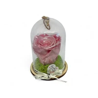 Естествена вечна роза в PVC купол Metallic Old Pink Whi 04