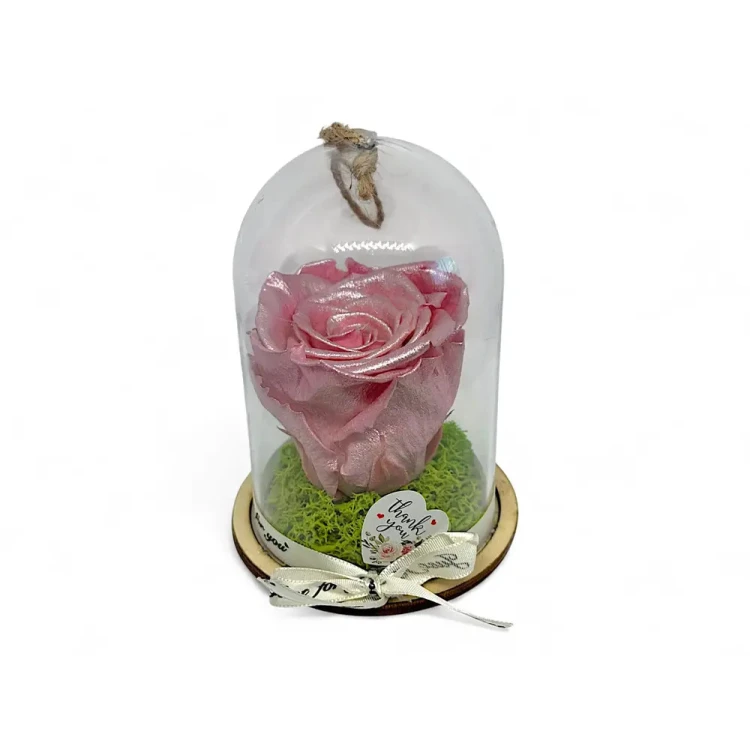Естествена вечна роза в PVC купол Metallic Old Pink Whi 04