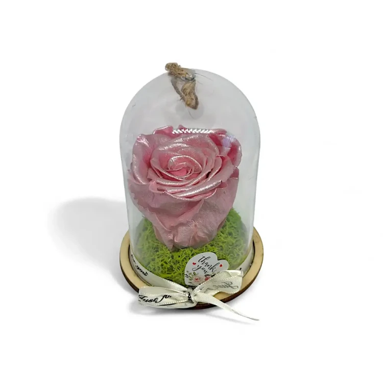 Естествена вечна роза в PVC купол Metallic Old Pink Whi 04