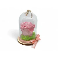 Естествена вечна роза в PVC купол Metallic Old Pink Whi 04