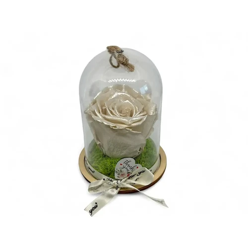 Естествена вечна роза в PVC купол Pearl White Whi 04