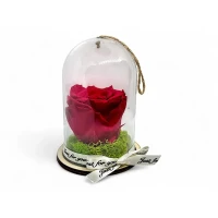 Естествена вечна роза в PVC купол Pin 03