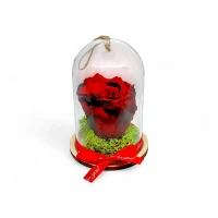 Естествена вечна роза в PVC купол Red 03