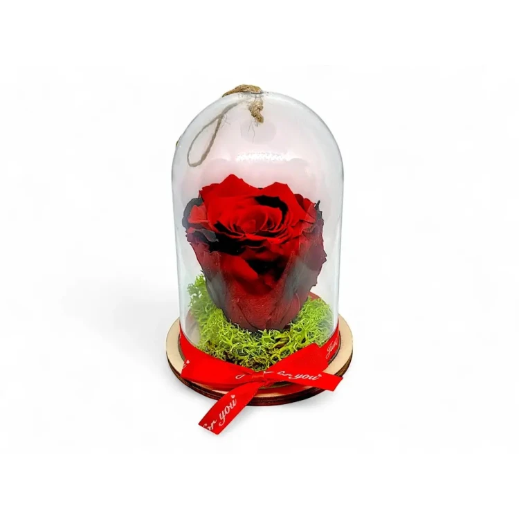 Естествена вечна роза в PVC купол Red 03
