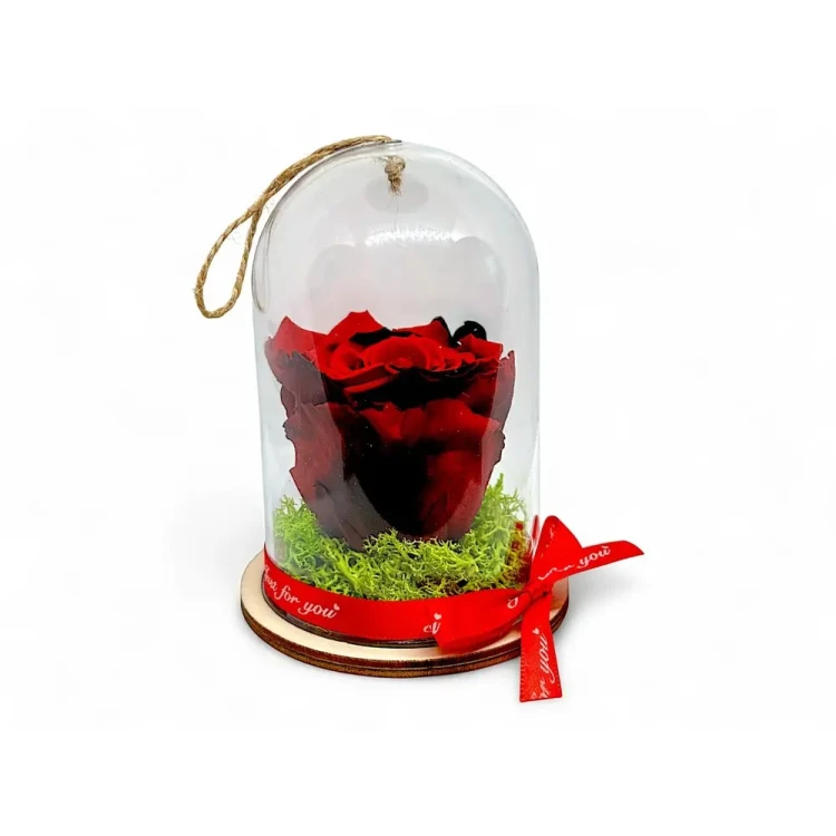 Естествена вечна роза в PVC купол Red 03