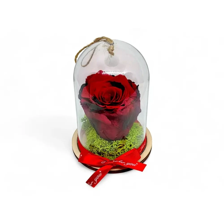 Естествена вечна роза в PVC купол Red 03