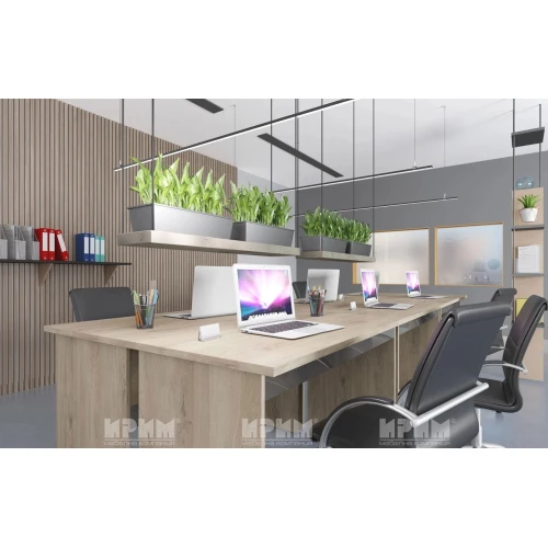 Офис композиция City 9055